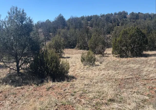 Homes for sale in Sandia Park, NM | 63 Jennifer Dr, Sandia Park, NM 87047 | MLS# 1099153