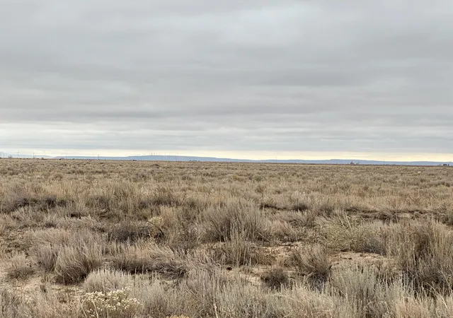 Photo 4 of Land for sale at E Howell (Tr A-3) Rd, Estancia, NM 87016 | MLS# 1099184 | Listing updated on 2026-06-09