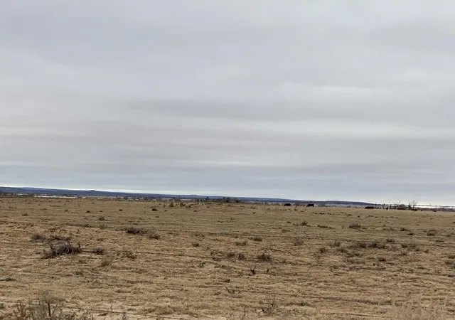 Photo 5 of Land for sale at E Howell (Tr A-3) Rd, Estancia, NM 87016 | MLS# 1099184 | Listing updated on 2026-06-09