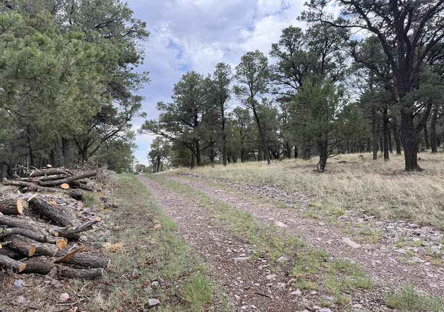 Homes for sale in Magdalena, NM | 9 Cochise Dr, Magdalena, NM 87825 | MLS# 1099186