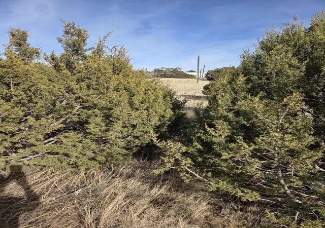 Homes for sale in Edgewood, NM | 10 Glacier Trl, Edgewood, NM 87015 | MLS# 1099190