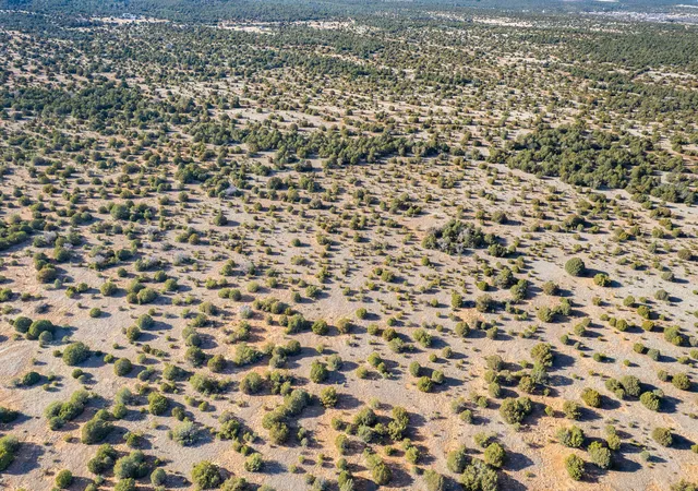 Photo 13 of Land for sale at Subd: Manzano Grant S: 31 & 32, Mountainair, NM 87036 | MLS# 1099423 | Listing updated on 2026-07-21