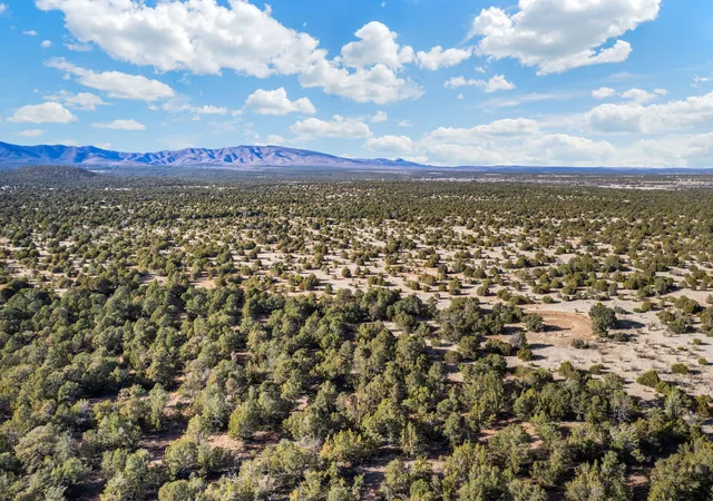 Photo 2 of Land for sale at Subd: Manzano Grant S: 31 & 32, Mountainair, NM 87036 | MLS# 1099423 | Listing updated on 2026-07-21
