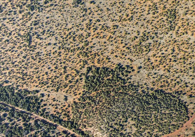 Photo 3 of Land for sale at Subd: Manzano Grant S: 31 & 32, Mountainair, NM 87036 | MLS# 1099423 | Listing updated on 2026-07-21