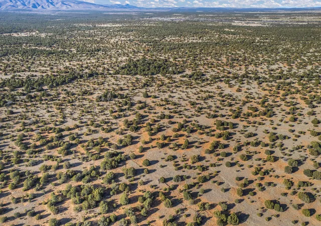 Photo 4 of Land for sale at Subd: Manzano Grant S: 31 & 32, Mountainair, NM 87036 | MLS# 1099423 | Listing updated on 2026-07-21