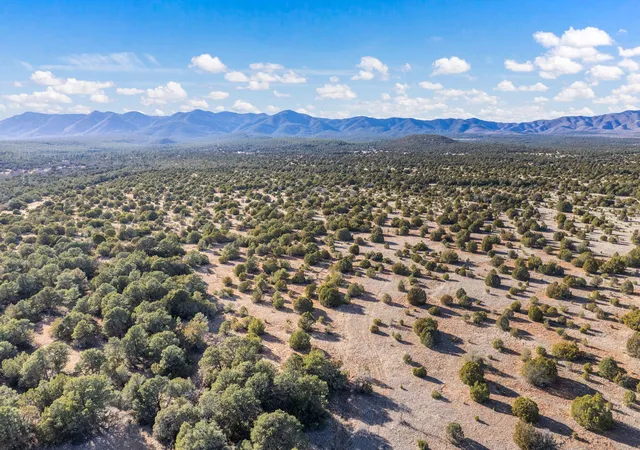 Photo 5 of Land for sale at Subd: Manzano Grant S: 31 & 32, Mountainair, NM 87036 | MLS# 1099423 | Listing updated on 2026-07-21