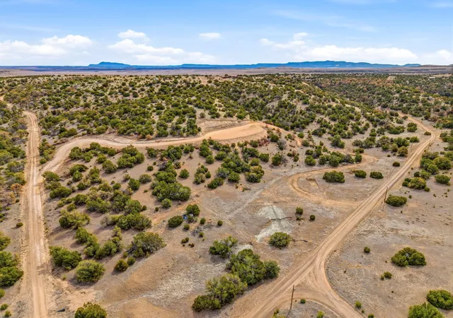 Homes for sale in Quemado, NM | 311 Cimarron Dr, Quemado, NM 87829 | MLS# 1099430