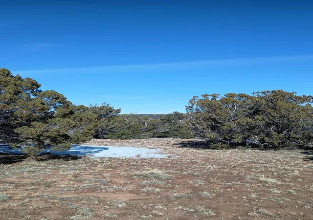 Homes for sale in Pie Town, NM | Deer Run Trail, Pie Town, NM 87827 | MLS# 1099629