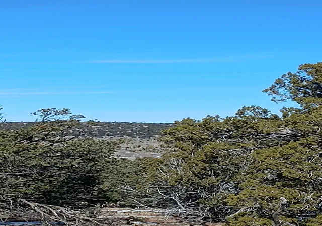 Homes for sale in Pie Town, NM | Deer Run Trail, Pie Town, NM 87827 | MLS# 1099629