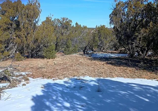 Homes for sale in Pie Town, NM | Deer Run Trail, Pie Town, NM 87827 | MLS# 1099629