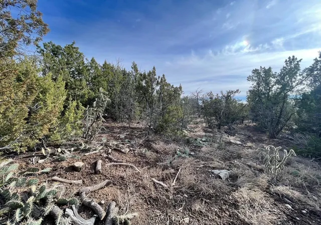 Homes for sale in Edgewood, NM | 194 B County Line Rd, Edgewood, NM 87015 | MLS# 1099742