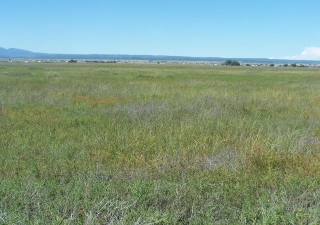 Photo 2 of Land for sale at C Del Sol A081/mulberry A146, Mc Intosh, NM 87032 | MLS# 1099757 | Listing updated on 2026-08-04