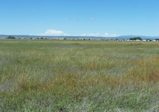 Photo 1 of Land for sale at C Del Sol A081/mulberry A146, Mc Intosh, NM 87032 | MLS# 1099759 | Listing updated on 2026-08-04