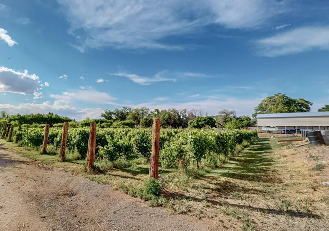 Photo 3 of Land for sale at 17 Llanito Rd, Bernalillo, NM 87004 | MLS# 1099842 | Listing updated on 2026-07-22