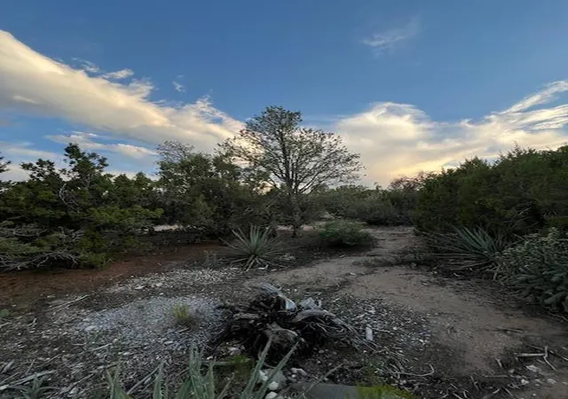 Photo 3 of Land for sale at Lucas Rd, Edgewood, NM 87015 | MLS# 1099902 | Listing updated on 2026-07-22