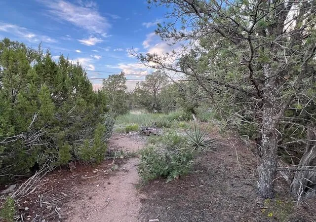 Photo 4 of Land for sale at Lucas Rd, Edgewood, NM 87015 | MLS# 1099902 | Listing updated on 2026-07-22