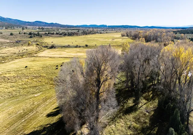 Homes for sale in Tierra Amarilla, NM | 16853 US 84 #64, Tierra Amarilla, NM 87575 | MLS# 1099972