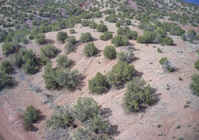 Homes for sale in Sandia Park, NM | Demetrio Rd, Sandia Park, NM 87047 | MLS# 1100036