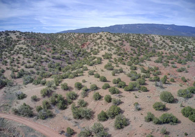Homes for sale in Sandia Park, NM | Demetrio Rd, Sandia Park, NM 87047 | MLS# 1100036