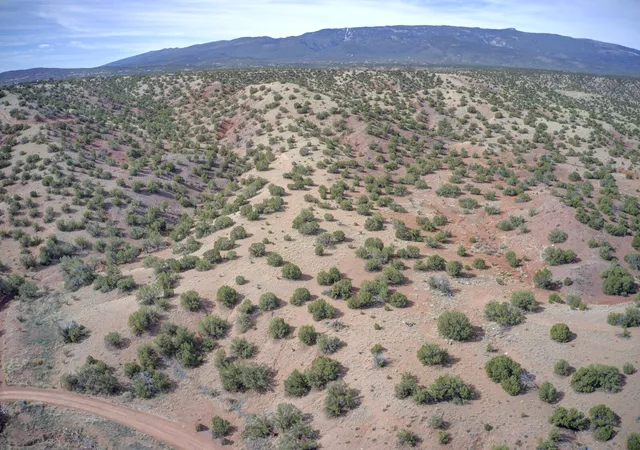 Homes for sale in Sandia Park, NM | Demetrio Rd, Sandia Park, NM 87047 | MLS# 1100036
