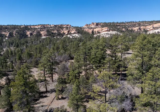 Homes for sale in Ramah, NM | 4 5 W Lobo Dr, Ramah, NM 87321 | MLS# 1100044