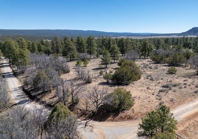 Homes for sale in Ramah, NM | 4-5 W Lobo Dr, Ramah, NM 87321 | MLS# 1100044