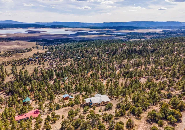 Homes for sale in Los Ojos, NM | 58 Alta Vista Trl, Los Ojos, NM 87551 | MLS# 1100089