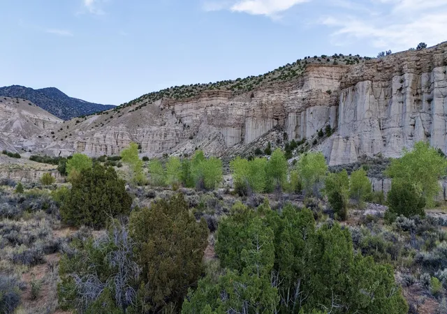 Homes for sale in Abiquiu, NM | 252 County Rd 156, Abiquiu, NM 87510 | MLS# 1100245