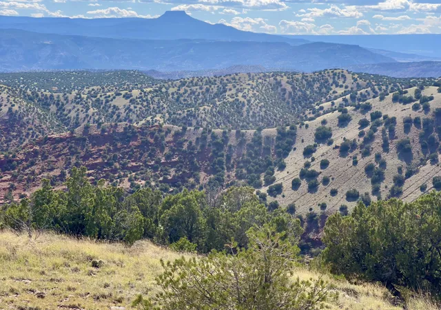 Homes for sale in Abiquiu, NM | 252 County Rd 156, Abiquiu, NM 87510 | MLS# 1100245