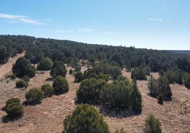 Photo 3 of Land for sale at Mccomb Rd, Edgewood, NM 87015 | MLS# 1100285 | Listing updated on 2026-03-20