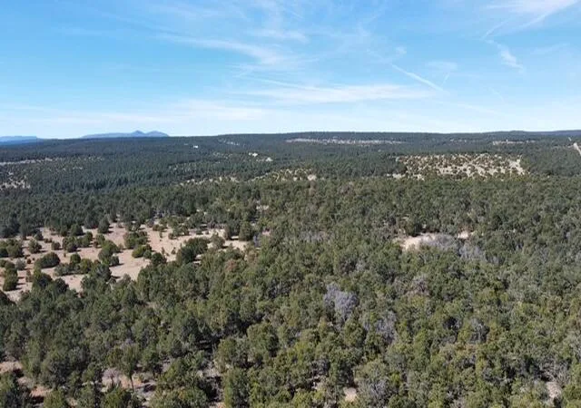 Photo 4 of Land for sale at Mccomb Rd, Edgewood, NM 87015 | MLS# 1100285 | Listing updated on 2026-03-20