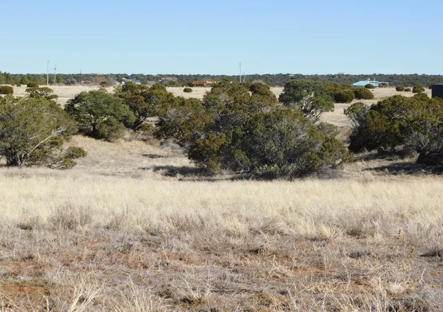 Photo 5 of Land for sale at 2,3,9,10 Alba Prado Ct, Sandia Park, NM 87047 | MLS# 1100353 | Listing updated on 2026-08-21