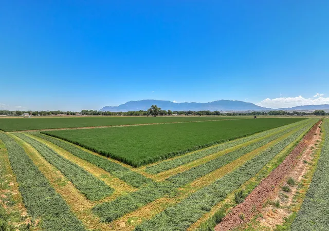 Photo 3 of Land for sale at 3931 Anderson Farm Dr SW, Albuquerque, NM 87105 | MLS# 1100355 | Listing updated on 2026-03-22