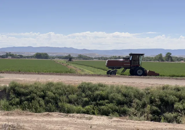 Photo 4 of Land for sale at 3931 Anderson Farm Dr SW, Albuquerque, NM 87105 | MLS# 1100355 | Listing updated on 2026-03-22
