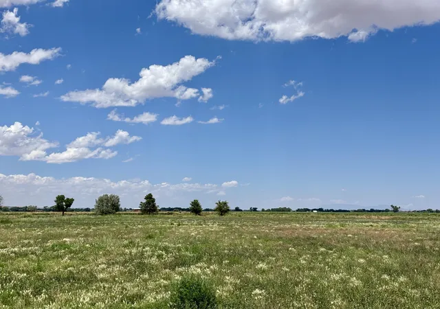 101st image of 87 Camino Ulibarri, Veguita, NM 87062 | MLS# 1100377