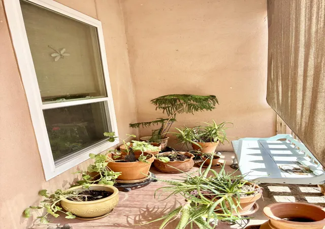 Photo 3 of Single family home for sale at 87 Camino Ulibarri, Veguita, NM 87062 | MLS# 1100377 | Listing updated on 2026-08-29