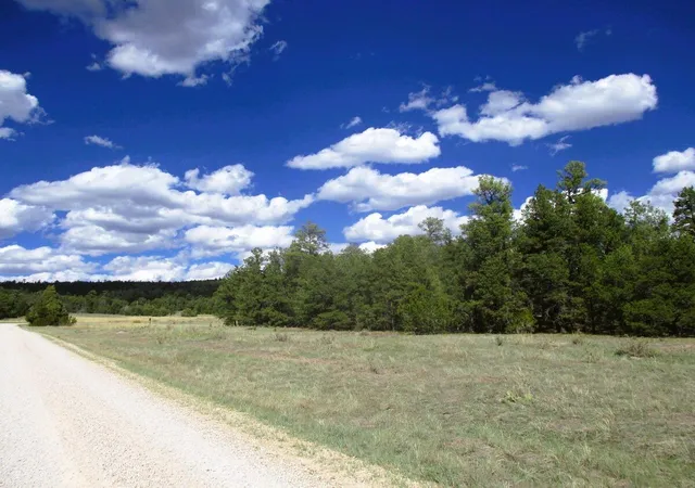 Photo 1 of Land for sale at Lot 5 Copperweed Rd, Ramah, NM 87321 | MLS# 1100490 | Listing updated on 2026-08-21