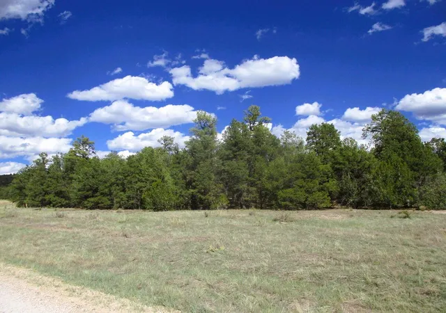 Photo 2 of Land for sale at Lot 5 Copperweed Rd, Ramah, NM 87321 | MLS# 1100490 | Listing updated on 2026-08-21