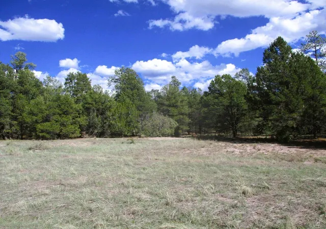 Photo 4 of Land for sale at Lot 5 Copperweed Rd, Ramah, NM 87321 | MLS# 1100490 | Listing updated on 2026-08-21