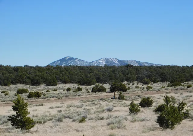 Homes for sale in Quemado, NM | Lot 81 Artesian Ave, Quemado, NM 87829 | MLS# 1100506