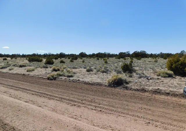 Homes for sale in Quemado, NM | Lot 81 Artesian Ave, Quemado, NM 87829 | MLS# 1100506