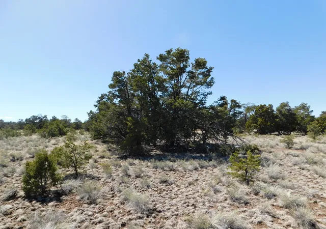 Homes for sale in Quemado, NM | Lot 81 Artesian Ave, Quemado, NM 87829 | MLS# 1100506