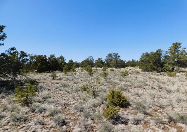 Homes for sale in Quemado, NM | Lot 81 Artesian Ave, Quemado, NM 87829 | MLS# 1100506