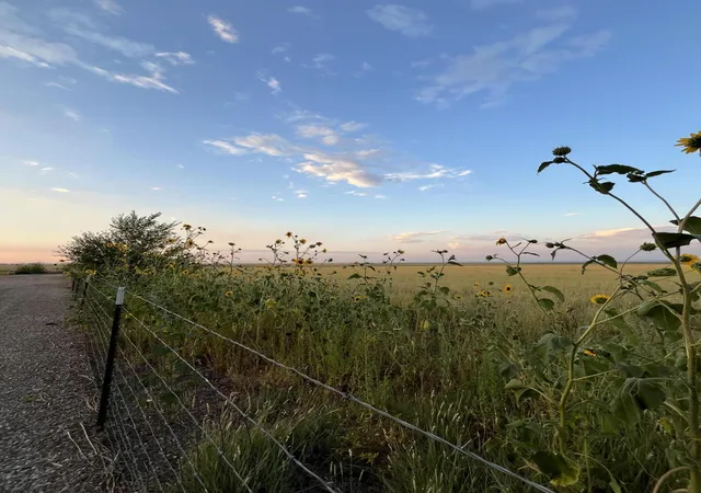 2nd image of Tomasini Ct, Moriarty, NM 87035 | MLS# 1100521