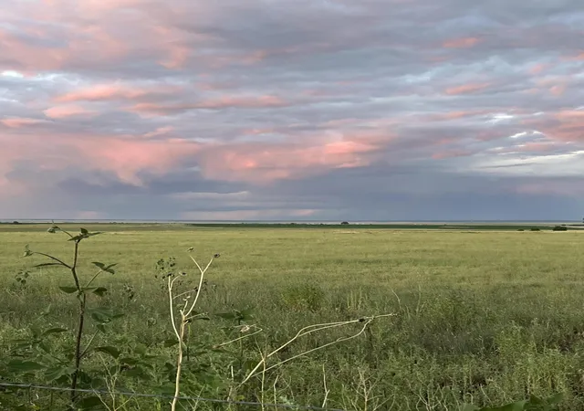 5th image of Tomasini Ct, Moriarty, NM 87035 | MLS# 1100521
