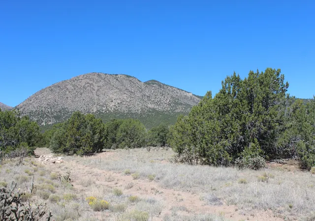 2nd image of 19 Camino Monte Azul, Edgewood, NM 87015 | MLS# 1100665