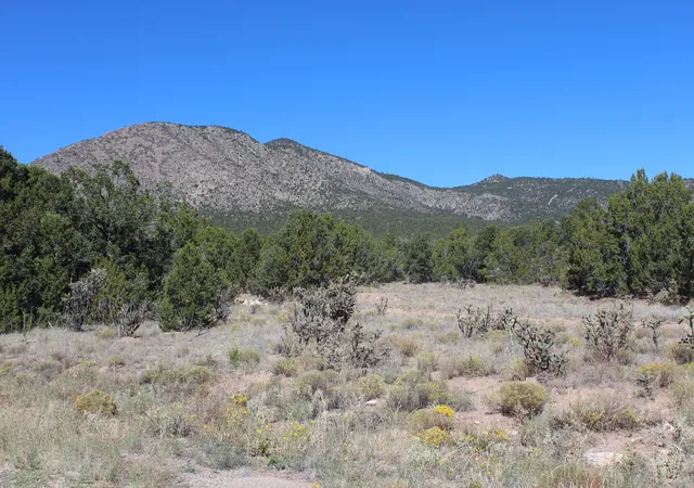 Photo 3 of Land for sale at 19 Camino Monte Azul, Edgewood, NM 87015 | MLS# 1100665 | Listing updated on 2026-07-22