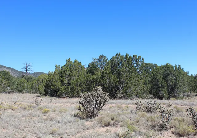 Photo 4 of Land for sale at 19 Camino Monte Azul, Edgewood, NM 87015 | MLS# 1100665 | Listing updated on 2026-07-22