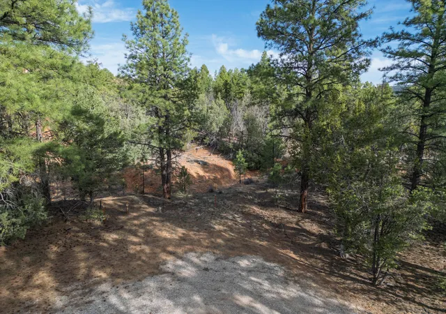 Homes for sale in Ramah, NM | Elk W Elk Dr, Ramah, NM 87321 | MLS# 1100806