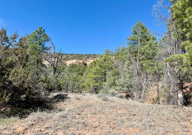 Homes for sale in Ramah, NM | Elk W Elk Dr, Ramah, NM 87321 | MLS# 1100806